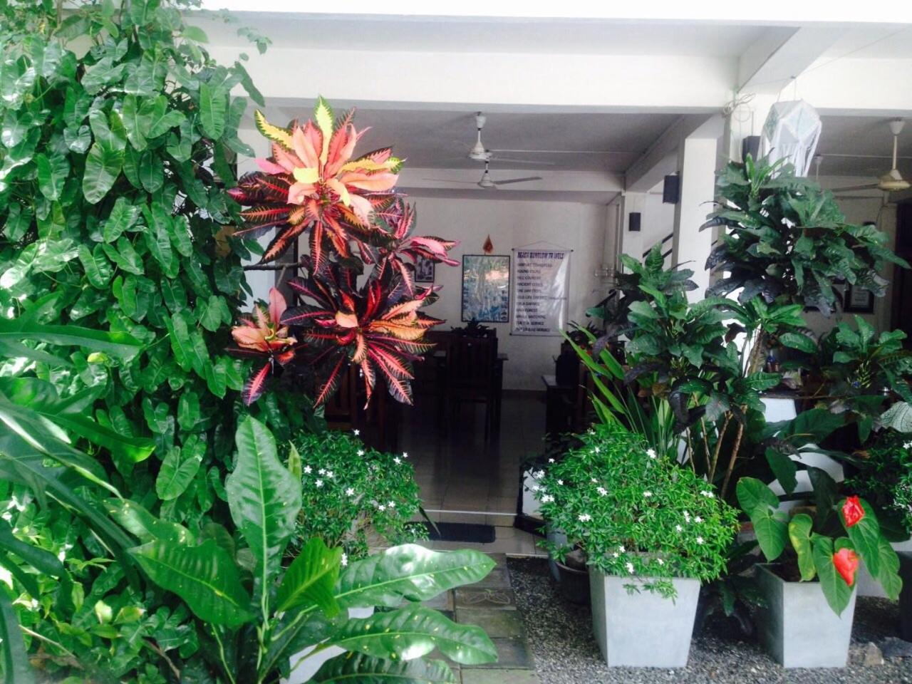 Unawatuna Beach Bungalow - Exterior photo